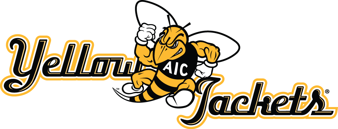 aic yellow jackets 2009-pres alternate logo v3 iron on transfers for T-shirts